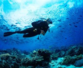 Scuba diving in Sardinia: things you need to know