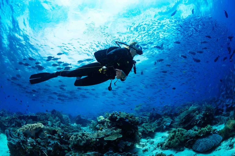 Diving in Sardegna: che cosa devi sapere per iniziare a fare immersioni subacquee