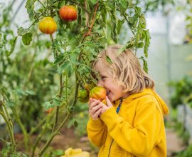 Alimentazione sostenibile e bambini: come spiegare ai più piccoli l’impatto ambientale del cibo?