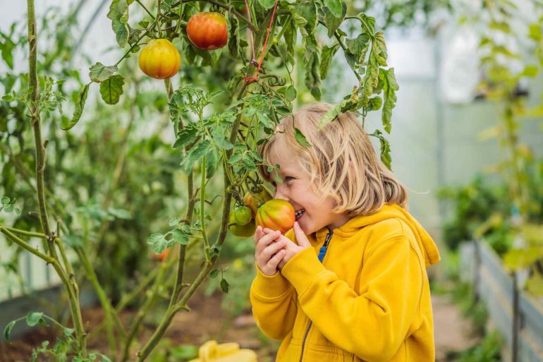 Alimentazione sostenibile e bambini: come spiegare ai più piccoli l’impatto ambientale del cibo?