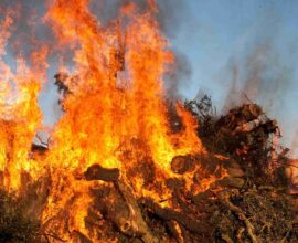 Fuoco di Sant'Antonio in Sardegna: viaggio alla scoperta di un'antica tradizione