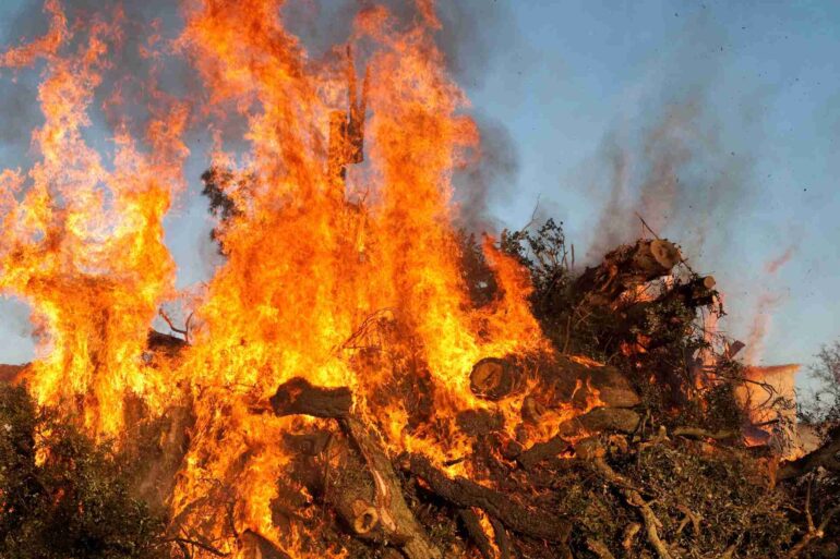 Fuoco di Sant'Antonio in Sardegna: viaggio alla scoperta di un'antica tradizione