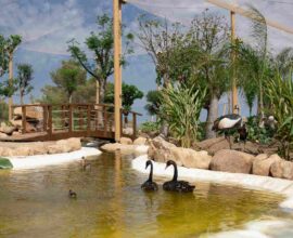 Alla scoperta del Forte Village Nature Park: natura, animali e attività per tutte le età
