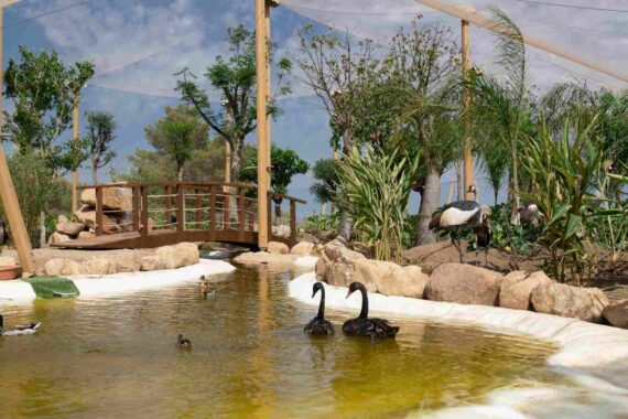 Alla scoperta del Forte Village Nature Park: natura, animali e attività per tutte le età