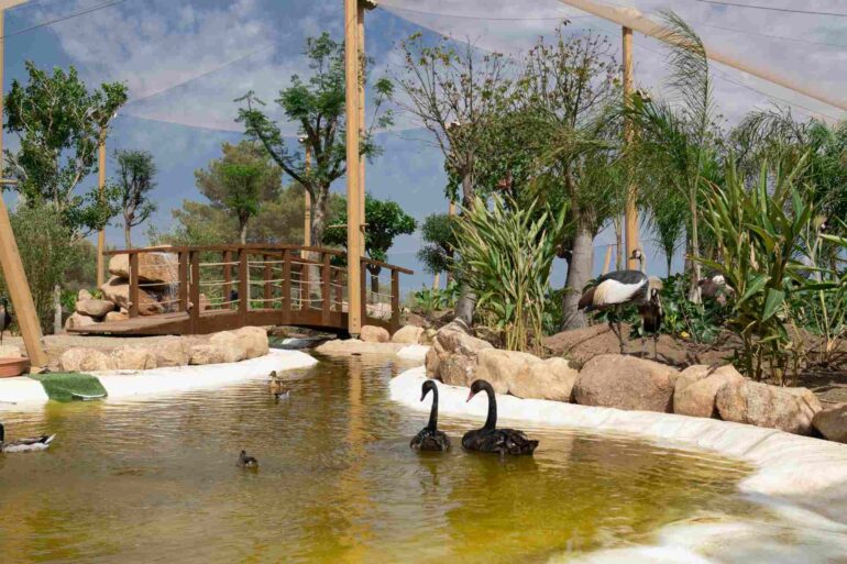 Alla scoperta del Forte Village Nature Park: natura, animali e attività per tutte le età