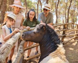 Fattoria didattica: perché visitarla con la famiglia è un’esperienza educativa e divertente