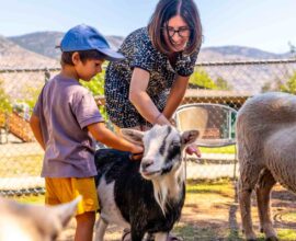 Fattoria didattica: come imparare dalla natura divertendosi