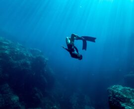 Immersioni subacquee: alla scoperta dei fondali della Sardegna