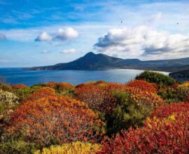 Autunno in Sud Sardegna: viaggio tra sapori, profumi e tradizioni