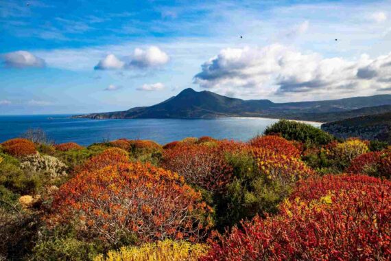 Autunno in Sud Sardegna: viaggio tra sapori, profumi e tradizioni