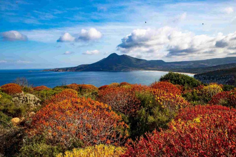 Autunno in Sud Sardegna: viaggio tra sapori, profumi e tradizioni