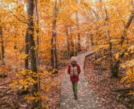 Foliage in Sardegna: dove ammirare i colori più belli dell’autunno