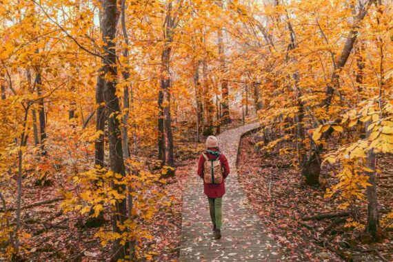 Foliage in Sardegna: dove ammirare i colori più belli dell’autunno