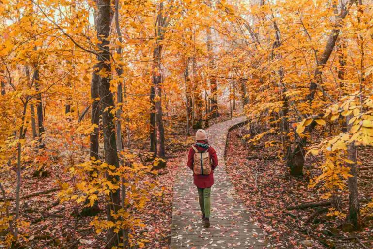 Foliage in Sardegna: dove ammirare i colori più belli dell’autunno